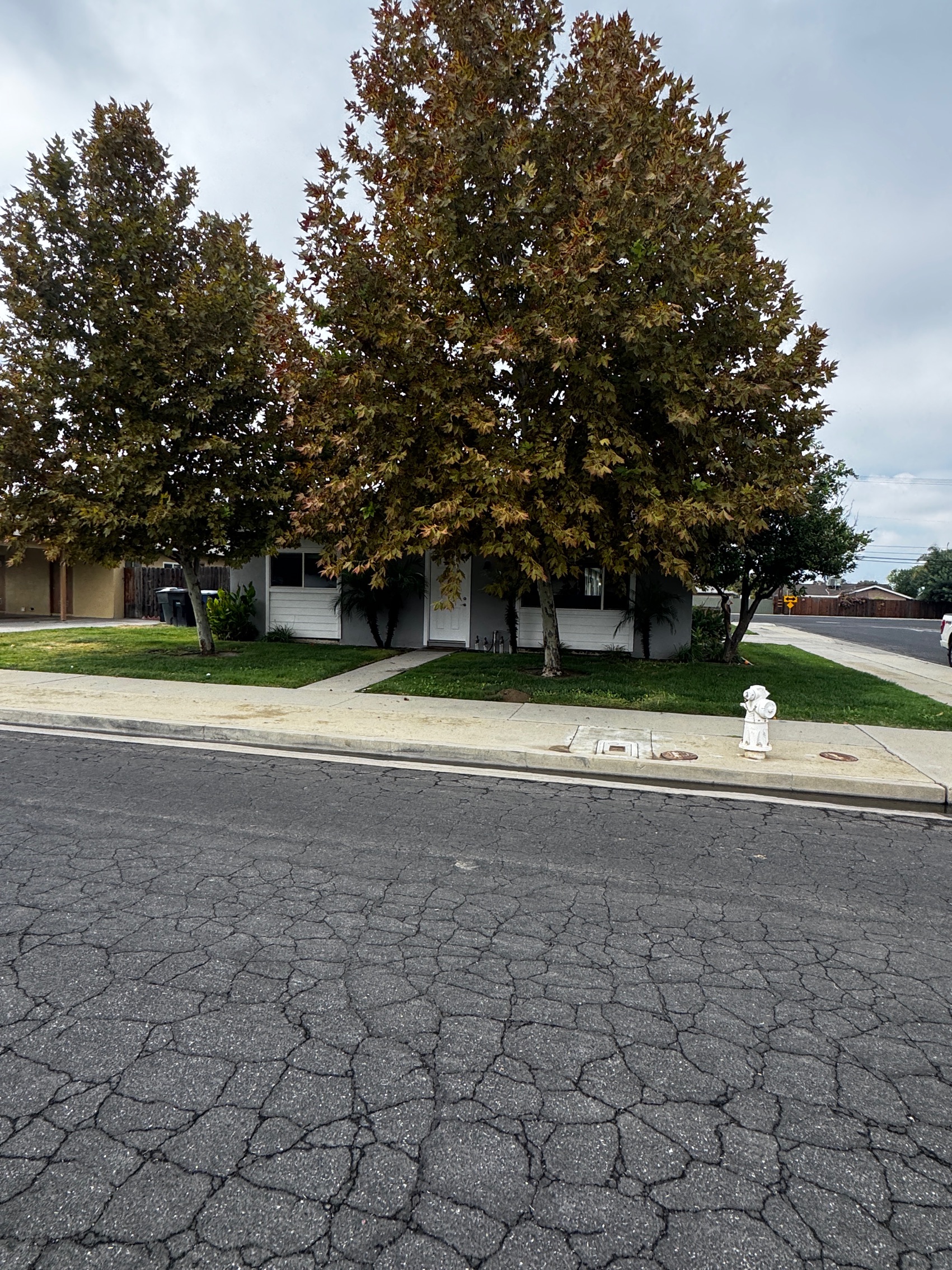 2024 Parker Place - 1